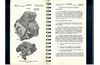 Baldwin_DR-6-4-20_470.jpg